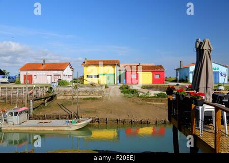 Ostriche, Cite de l'Huitre, marennes, Poitou-Charentes, Francia Foto Stock