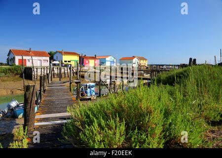 Ostriche, Cite de l'Huitre, marennes, Poitou-Charentes, Francia Foto Stock