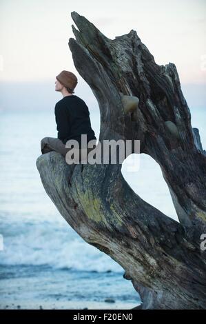 Donna seduta guardando fuori dal grande driftwood tronco di albero sulla spiaggia Foto Stock