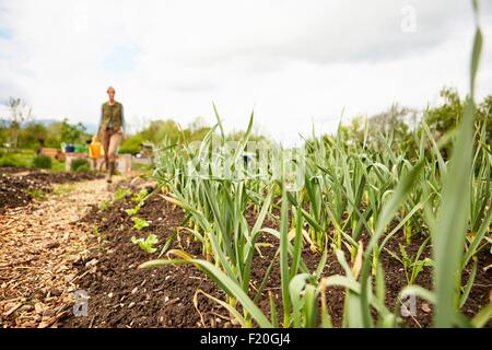 Donna matura, all'aperto, giardinaggio, concentrarsi sulle piante Foto Stock