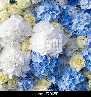 Bello e delicato bouquet di rose bianche e blu renoncules Foto Stock