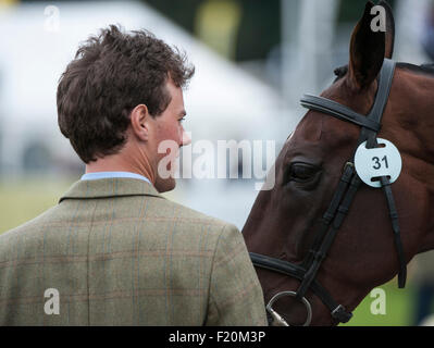 Blair Atholl, Scotland, Regno Unito. Il 9 settembre, 2015. Sam Watson [IRL] con Horseware Lukeswell alla prima ispezione. Il FEI European Eventing Championships 2015 Blair Castle Credit: stephen Bartolomeo/Alamy Live News Foto Stock