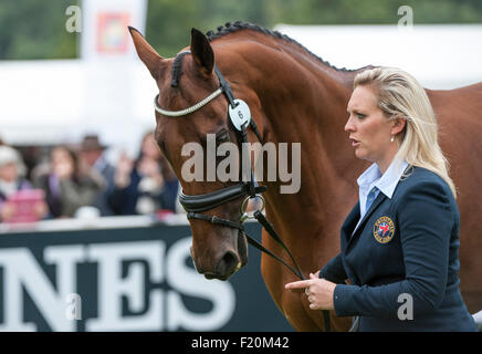 Blair Atholl, Scotland, Regno Unito. Il 9 settembre, 2015. Gemma Tattersall [GBR] con anima Artico al primo controllo. Il FEI European Eventing Championships 2015 Blair Castle Credit: stephen Bartolomeo/Alamy Live News Foto Stock