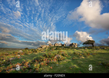Combestone Tor nel Parco Nazionale di Dartmoor, Devon, Regno Unito Foto Stock