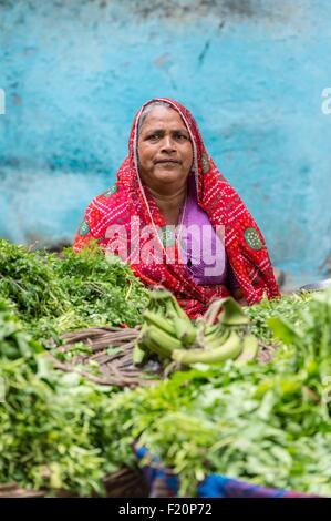 India Rajasthan, Udaipur, il mercato di frutta e verdura Foto Stock