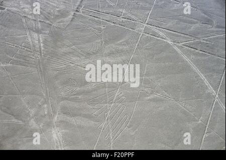 Il Perù, Regione di Ica, Nazca Desert, Linee di Nazca (5-VII sec.), elencato come patrimonio mondiale dall'UNESCO, i geoglifi sono grandi figure tracciate sul terreno, spesso animali stilizzati, colibrì (134 m.), vista aerea Foto Stock