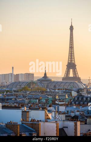 Francia, Parigi, il tetto di vetro del Grand Palais e la Torre Eiffel Foto Stock