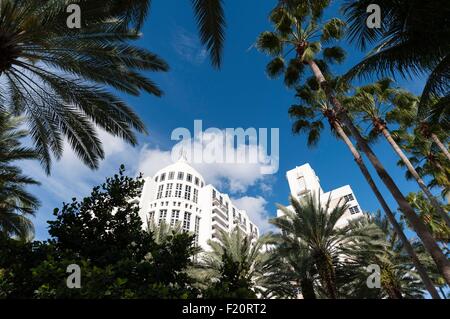 Stati Uniti, Florida, Miami Beach, South Beach, Collins Avenue, Loews e Royal Palm Hotel Foto Stock