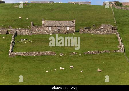 Regno Unito, Scozia, isole Shetland, sud continente, penisola di Sandwick Foto Stock