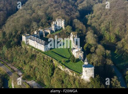 Francia, Seine Maritime, Tancarville Tancarville, castello del XII secolo la fortezza (vista aerea) Foto Stock