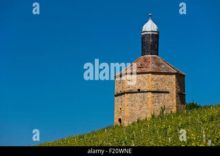 Francia, Rhone, regione di Beaujolais, Pierres Dorees Regione, Bagnols Castello Dovecot Foto Stock