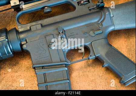 Bushmaster AR-15 fucile da assalto con 30 round: 5,56mm magazine, closeup realizzati in Windham ME Foto Stock