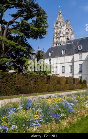 Francia, Indre et Loire, Touraine Val de Loire, old Tours, Cattedrale vista da Archeveque Palace e il suo libano cedre tree Foto Stock