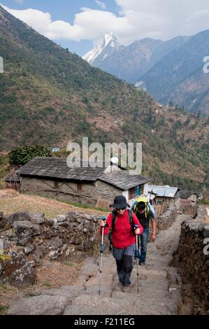 Il Nepal, Gandaki, regione di Annapurna, trekking salendo le scale in pietra nel villaggio di Chomrong Foto Stock