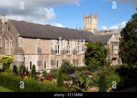 Il medievale del XIII secolo i vescovi al palazzo e ai giardini, con la cattedrale in background, pozzi, Somerset England Regno Unito Foto Stock