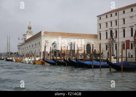 L'Italia, Venezia, exhibition scivolare sulla lingua di arte contemporanea a Punta della Dogana fondazione François Pinault durante la Biennale 2015 Foto Stock