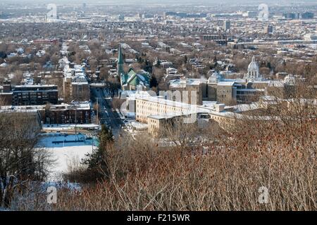 Canada, Provincia di Quebec, Montreal, vista di distretti settentrionali e dal Mont Royal in inverno Foto Stock
