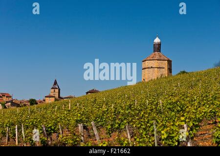 Francia, Rhone, regione di Beaujolais, Pierres Dorees Regione, Bagnols Castello Dovecot Foto Stock