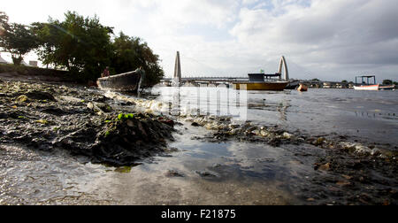 Rio de Janeiro, Brasile - 03 Marzo 2015- Garbage galleggia in una spiaggia inquinata sulla baia di Guanabara, dove la vela eventi del Foto Stock