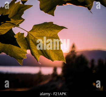 In stile retrò immagine del tramonto sul Lago Okanagan di Kelowna, Canada Foto Stock