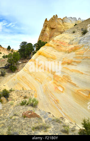 Colorate formazioni di arenaria lungo la panoramica strada statale 12 in grande scala Escalante monumento nazionale è a sudovest Utah Foto Stock