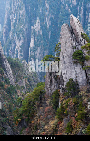 Xihai Grand Canyon in autunno, gialle di montagna, Huang Shan, sito UNESCO, provincia di Anhui, Cina e Asia Foto Stock