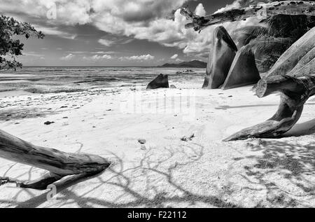 Seychelles spiaggia su isola di La Digue Foto Stock
