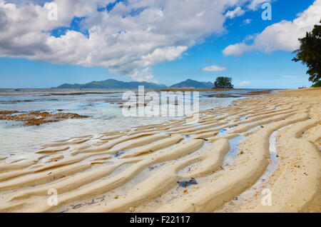 Dune di sabbia sulla spiaggia, isola di La Digue e le Seicelle. Foto Stock