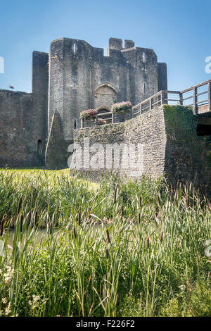 Castello di Caerphilly, Galles, con canne da fossato in primo piano in formato verticale Foto Stock