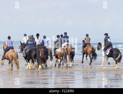 Passeggiate a cavallo sulla spiaggia Saltburn. Saltburn dal mare, North Yorkshire, Inghilterra. Regno Unito Foto Stock