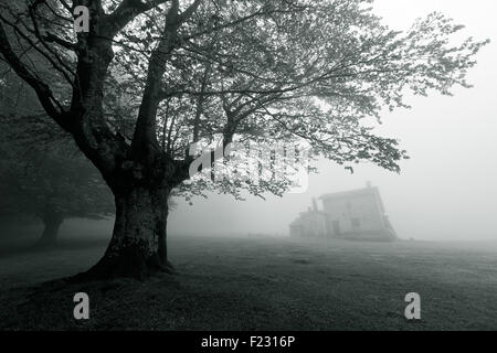 Casa misteriosa nella foresta. In bianco e nero Foto Stock
