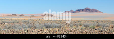 Paesaggio della Namibia dalla strada D826 Foto Stock