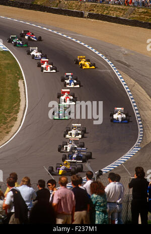 Gli spettatori a guardare una gara di Brands Hatch, Regno Unito degli anni novanta. Foto Stock