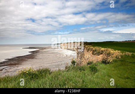 Vista costiera di col-huw punto, Llantwit Major, GLAMORGAN, GALLES Foto Stock