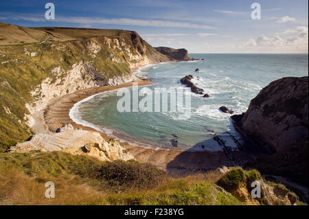 Man o' guerra all'interno della baia di St Oswald's Bay accanto alla porta di Durdle nelle vicinanze Lulworth su Dorset la Jurassic Coast, England, Regno Unito Foto Stock