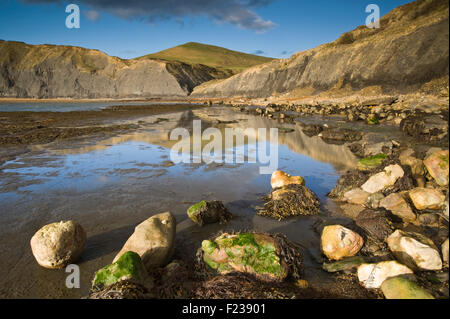 Bassa marea a Chapman's Piscina vicino a Worth Matravers in Isola di Purbeck su Dorset la Jurassic Coast, England, Regno Unito Foto Stock