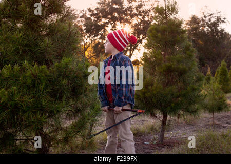 Ragazzo in piedi di Christmas tree farm con sega a mano Foto Stock