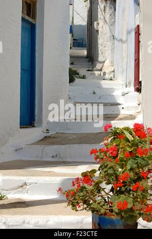 Piccola strada a Chora Amorgos Grecia Foto Stock