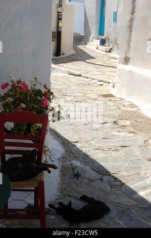 Street nella Chora di Amorgos un'isola greca delle Cicladi Foto Stock