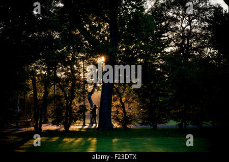 La mattina presto in un parco di Londra Foto Stock