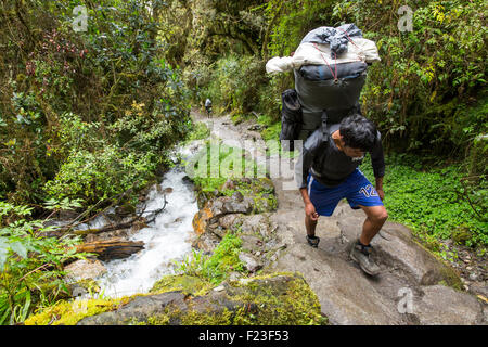 Il Perù, Porter che trasportano carico enorme durante le escursioni attraverso la foresta pluviale morto vicino a Donna di passare lungo il cammino Inca di Machu Picchu alon Foto Stock