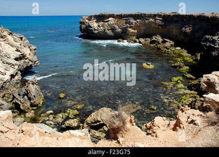 Coste calcaree, a sud di accappatoio, Sud Australia Foto Stock