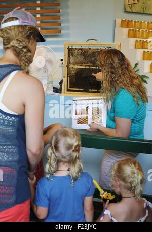 Una donna di insegnare a un gruppo di persone circa l'apicoltura presso la Minnesota State Fair. Foto Stock