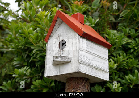 Close-up di a casa di colore rosso e bianco di legno verniciato birdhouse Foto Stock