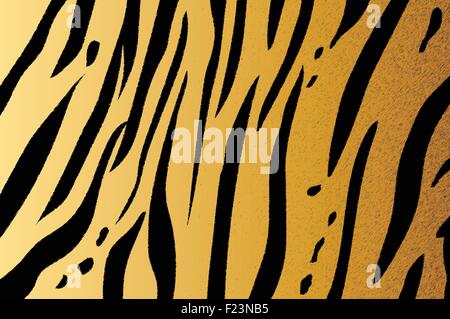 Illustrazione Vettoriale della tigre del Bengala motivo a strisce Illustrazione Vettoriale