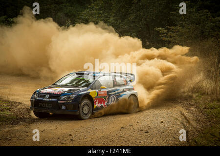 Coffs Harbour, Australia. 11 Settembre, 2015. Andreas Mikkelsen, Volkswagen Motorsport, speciale allo stadio 1.Mikkelsen e co-driver Ola Floene finito la prima giornata del Rally Australia al quarto posto assoluto. Credito: Russell Hunter/Alamy Live News Foto Stock