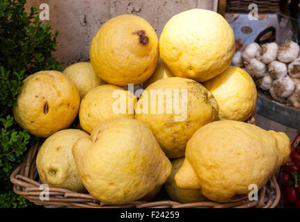 Un cesto pieno di limoni in Italia Foto Stock