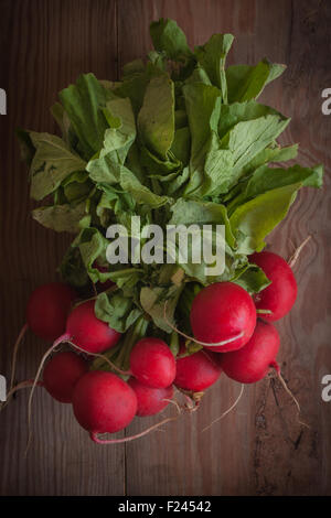 Ravanelli un piccante insalata appena raccolto dal giardino di bassa illuminazione tasto Foto Stock