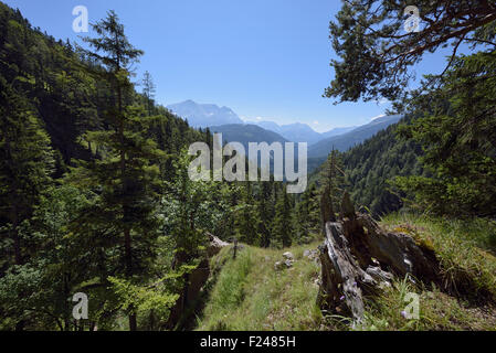 Vista del massiccio Zugspitze dal sentiero escursionistico di montagna Schellschlicht, Grainau, Germania Foto Stock