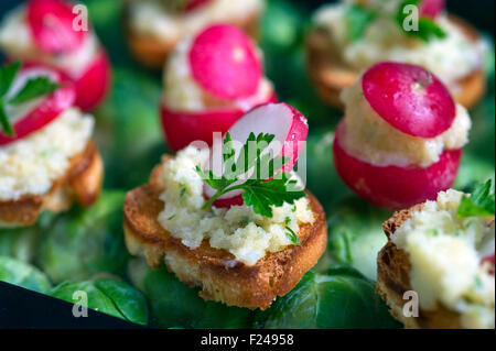 Canapes, piccolo cibo per le dita adatto per le feste. Foto Stock